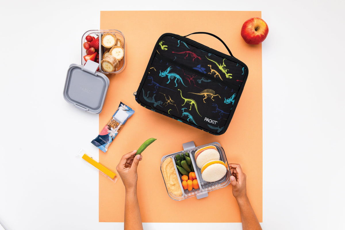 freezable-lunch-box-limited-edition-l1 2022_Lifestyle_Lunch-Box_Dino_Fossils_Hires.jpg